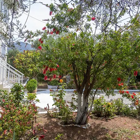 Sea & Olives House Lixouri