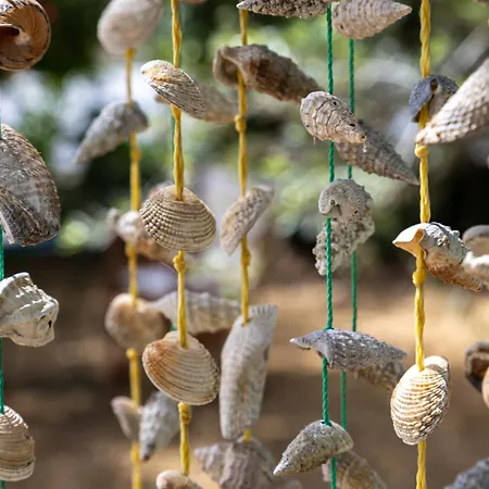 Casa vacanze Sea & Olives House *