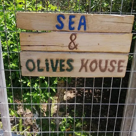 Sea & Olives House Lixouri