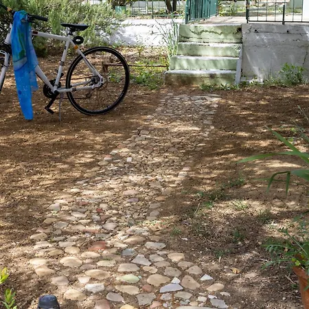 Sea & Olives House Lixouri