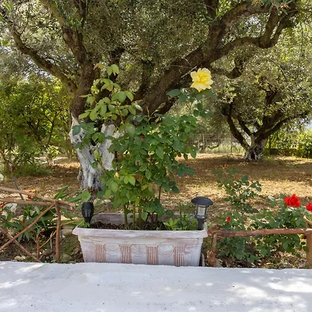 Sea & Olives House Semesterbostad Lixouri