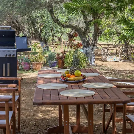 Semesterbostad Sea & Olives House Lixouri