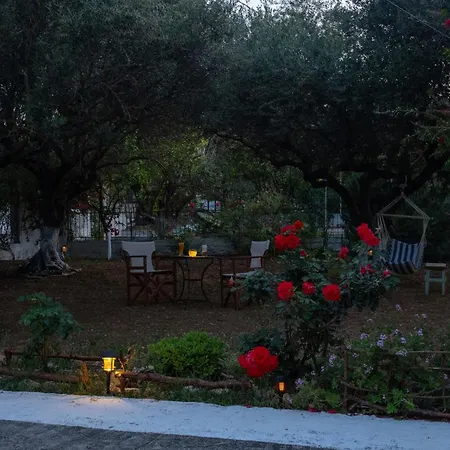 Sea & Olives House