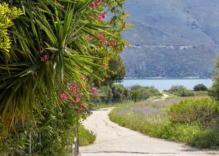 Sea & Olives House * Lixouri