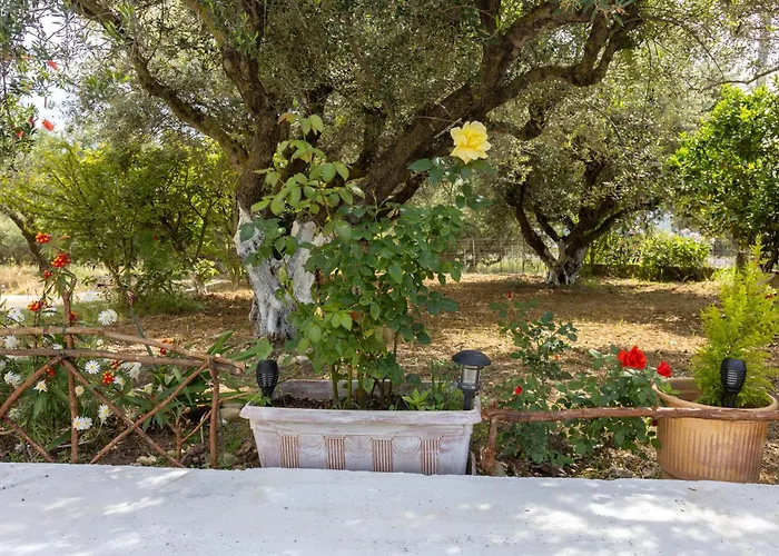 Sea & Olives House Tatil Evi Lixouri