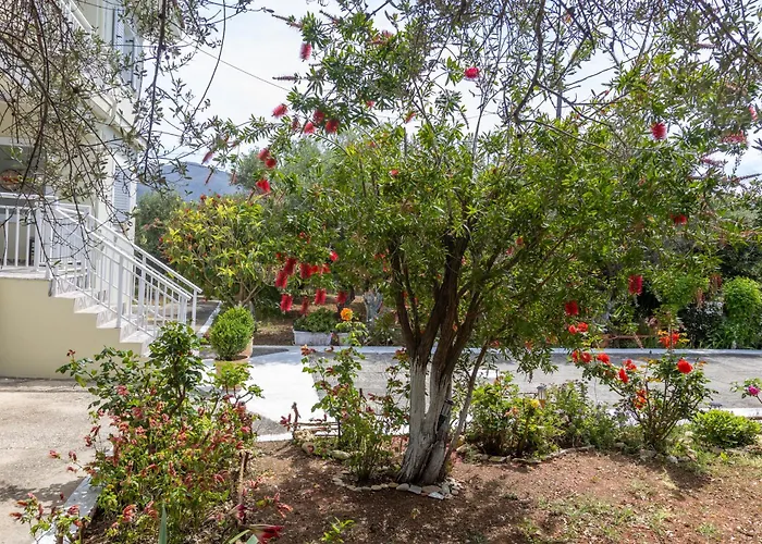 Sea & Olives House Lixouri