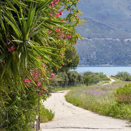 Sea & Olives House * Lixouri