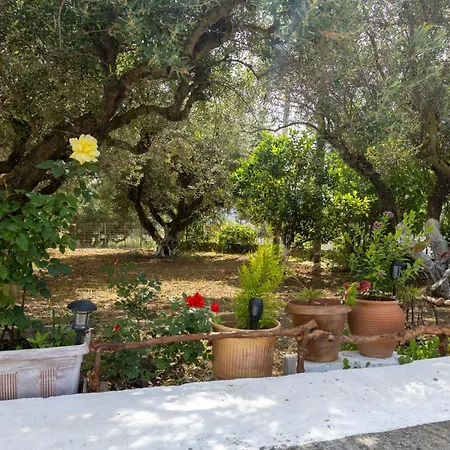Semesterbostad Sea & Olives House